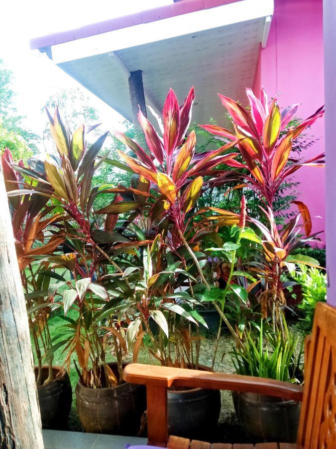 Suwantana Lanta Houses Ko Lanta 外观 照片